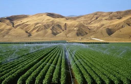 微信图片_20200818094632